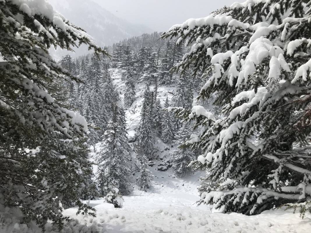 Burası Ocakta Uludağ değil, Nisanda Konya 8